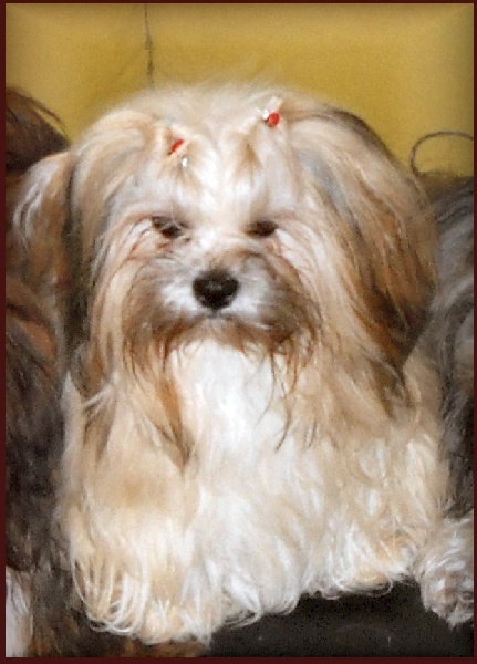 E'tsegha Of Tse Yang